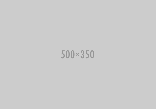 placeholder-500-350
